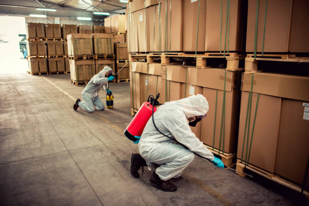 Best Pest Inspection Near Me  in Los Ranchos, CA