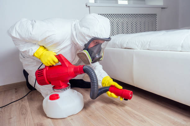 Best Affordable Pest Control Services  in Los Ranchos, CA