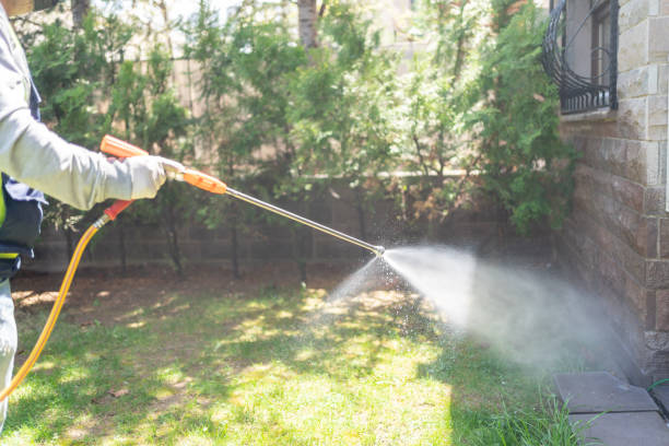 Best Pest Prevention Services  in Los Ranchos, CA