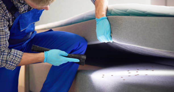 Best Affordable Pest Control Services  in Los Ranchos, CA