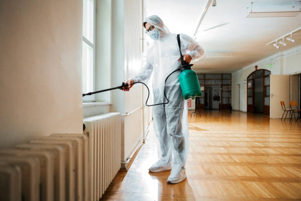  Los Ranchos, CA Pest Control Pros